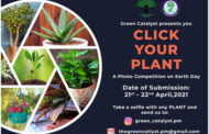CLICK YOUR PLANT